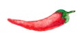 Ripe red hot chili peppers in watercolor style isolated on white background. Sketch of burning spicy mexican cayenne. Healthy food Royalty Free Stock Photo