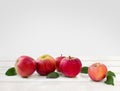 Ripe red juicy apples and leaves apple tree on white wooden table on a light background with space for text Royalty Free Stock Photo