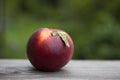 Ripe red juicy peach just picked and ready to eat.