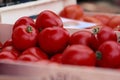 Tomatos Royalty Free Stock Photo