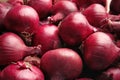 Ripe red onions Royalty Free Stock Photo