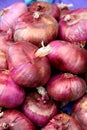 Ripe red onions