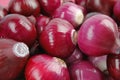 Ripe red onions Royalty Free Stock Photo