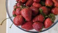 Ripe, red organic strawberries in  glass bowl. Summer fruits and berries. Selective focus Royalty Free Stock Photo