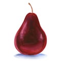 Ripe red pear isolated on white background Royalty Free Stock Photo