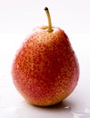 Ripe red pear with water drops Royalty Free Stock Photo