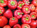 Ripe red peppers in a wicker basket on a dark background