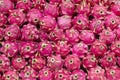 Ripe red pitahaya fruit or dragon fruit on the local market in Island Bali, Ubud, Indonesia