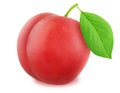 Ripe red plum with green leaf. With clipping path Royalty Free Stock Photo