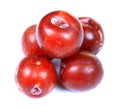 Ripe red plums Royalty Free Stock Photo