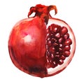 Ripe red pomegranate, fresh sliced fruit, isolated, close-up. Design element for package, recipes, menu, shops, markets