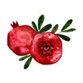 Ripe red pomegranate fruit composition with leaves. Watercolor hand drawn illustration isolated. Sweet tropical food