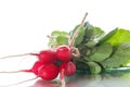 Ripe red radish with foliage