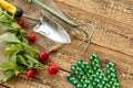 Ripe red radishes with garden tools on sackcloth Royalty Free Stock Photo