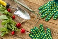 Ripe red radishes with garden tools on sackcloth Royalty Free Stock Photo