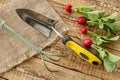 Ripe red radishes with garden tools on sackcloth Royalty Free Stock Photo