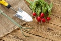 Ripe red radishes with garden tools on sackcloth and wooden boards Royalty Free Stock Photo