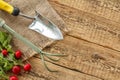 Ripe red radishes with garden tools on sackcloth and wooden boards Royalty Free Stock Photo