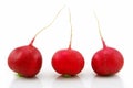 Ripe Red Radishes Isolated on White