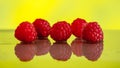 Ripe red raspberries on a mirror wet surface Royalty Free Stock Photo