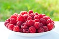 Ripe red raspberries in a plate. Berries close-up. Healthy food