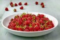 Ripe red raspberries with stalks are poured into a white ceramic plate Royalty Free Stock Photo