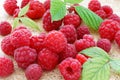 Ripe red raspberries Royalty Free Stock Photo