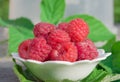 Ripe red raspberries in a white plate on the table on a background of green leaves, Royalty Free Stock Photo