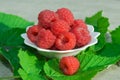 Ripe red raspberries in a white plate on the table on a background of green leaves, Royalty Free Stock Photo