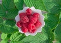 Ripe red raspberries in a white plate on the table on a background of green leaves, Royalty Free Stock Photo