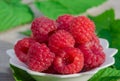 Ripe red raspberries in a white plate on the table on a background of green leaves, Royalty Free Stock Photo