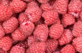 Ripe red raspberry background
