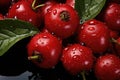 Ripe red rosehip with water drops and green leaves in a dark setting, highlighting their freshness and succulence Royalty Free Stock Photo