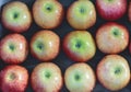 Ripe red apples are laid neatly in a box in rows