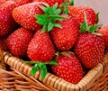 Ripe red strawberries in a basket. close-up Royalty Free Stock Photo