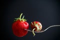 Ripe red strawberries Royalty Free Stock Photo