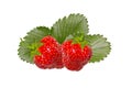 Ripe red strawberries with leaves on isolated background Royalty Free Stock Photo