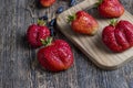 Ripe red strawberries lying on a wooden tray Royalty Free Stock Photo