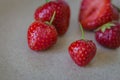 Ripe red strawberries on plate. Summer berries. Sweet strawberry on table. Summer farm harvest. Rustic food. Healthy lifestyle.