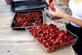 Ripe red strawberries ready to be eaten stock photo Royalty Free Stock Photo