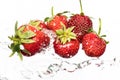 Ripe red strawberries are thrown and dropped into sparkling water, many bubbles Royalty Free Stock Photo