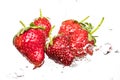 Ripe red strawberries are thrown and dropped into sparkling water, many bubbles Royalty Free Stock Photo