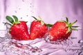 Ripe red strawberries are thrown and dropped into sparkling water, many bubbles Royalty Free Stock Photo
