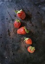 Ripe, red strawberries with water drops and splash on a dark background. Top view with copy space Royalty Free Stock Photo