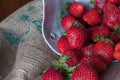 Ripe red strawberries on wooden table Royalty Free Stock Photo
