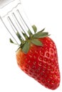 Ripe Red Strawberry On Fork Royalty Free Stock Photo
