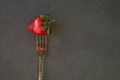 Ripe red strawberry on a fork on dark background Royalty Free Stock Photo