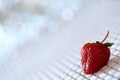 The red strawberry is a juicy and the most sumptuous fruit with a lot of vitamins. Royalty Free Stock Photo