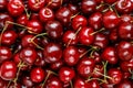 Ripe red sweet cherries top view, background Royalty Free Stock Photo