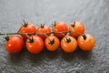 Ripe red tomato vine for cooked food on the black table - Branch of fresh tomatoes on black plate background